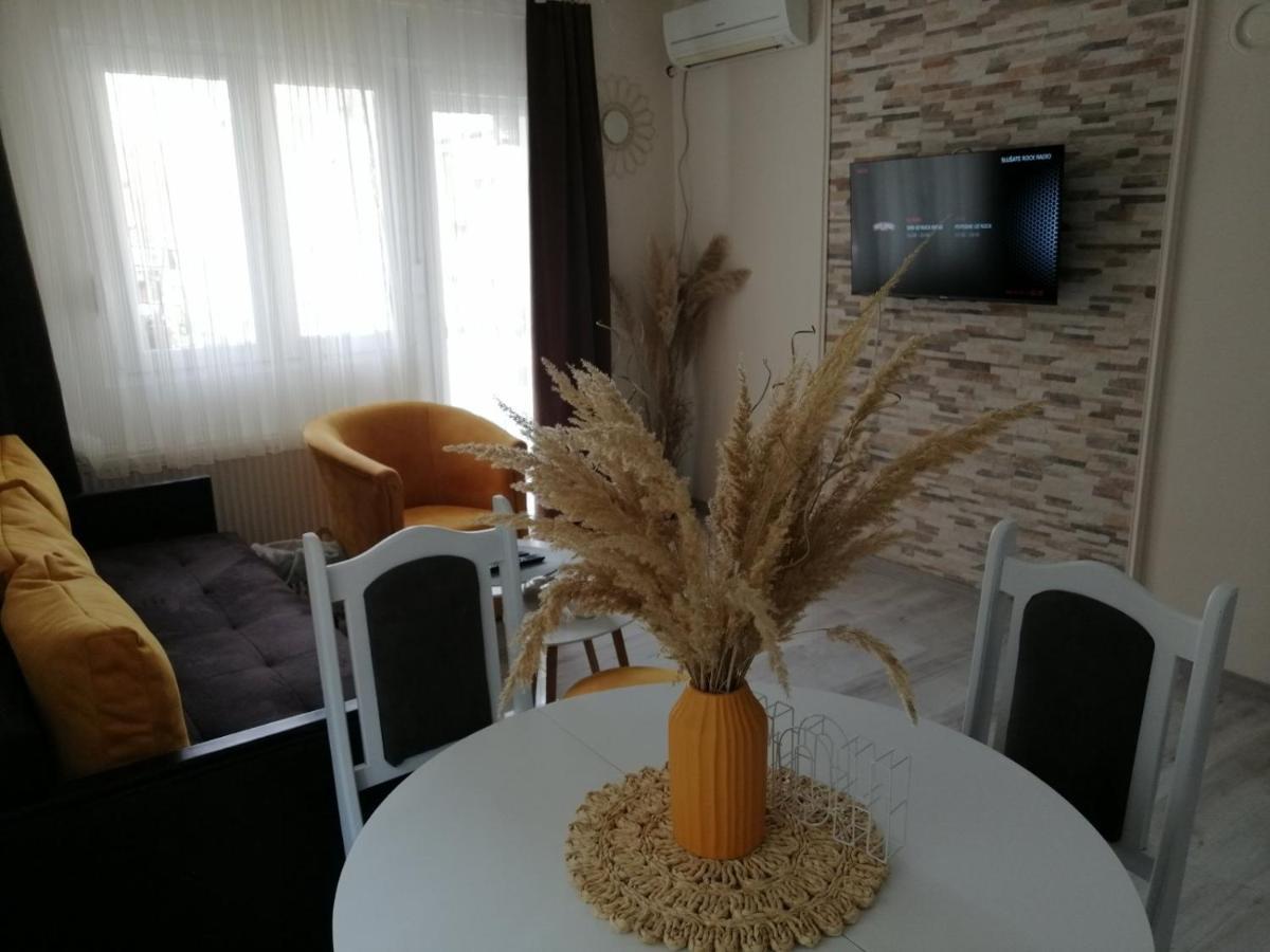 Apartman Zi-Zo Vrsac Exterior foto